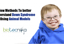 Mice with down syndrome