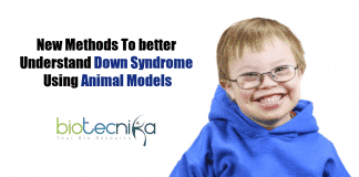 Mice with down syndrome