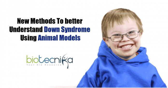 Mice with down syndrome