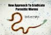 Novel Way To Eradicate Parasitic Worms By Modelling Parasitic Worm Metabolism Modelling Parasitic Worm Metabolism
