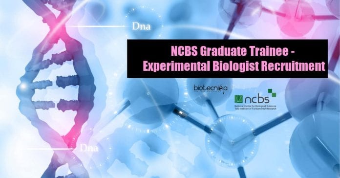 NCBS Jobs Latest