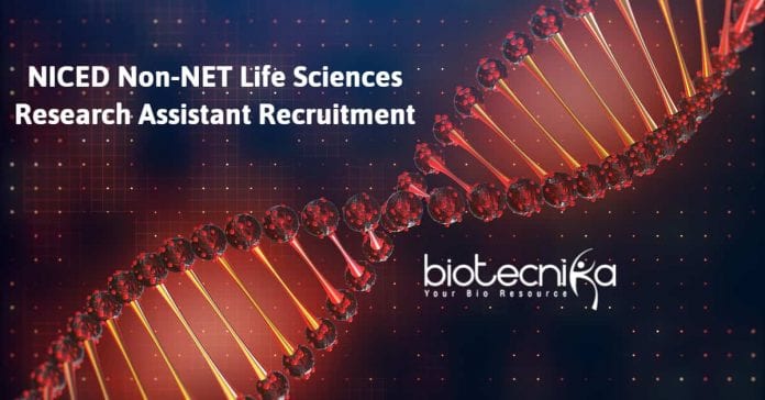 NICED Research Vacancy Job
