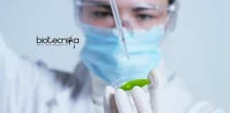 NIPGR Project Associate Job