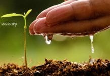 NIPGR Senior Research Fellow Jobs – Life Science/Biotech & Biochem Apply NIPGR Senior Research Fellow