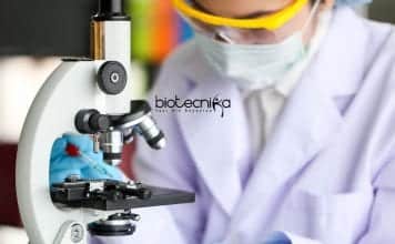 NIT Durgapur JRF Job