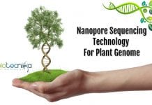 Hidden Traits Of Plant Genome Revealed By Nanopore Genome Sequencing Nanopore genome sequencing technology