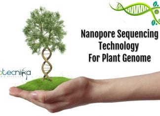 Nanopore genome sequencing technology