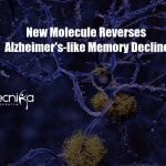 New Molecule Found That Reverses Alzheimer’s-like Memory Decline New molecule reverses Alzheimer's-like memory decline