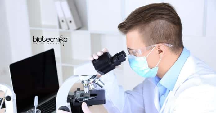 Novartis Data Manager Clinical