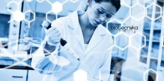 Novartis Jobs Latest