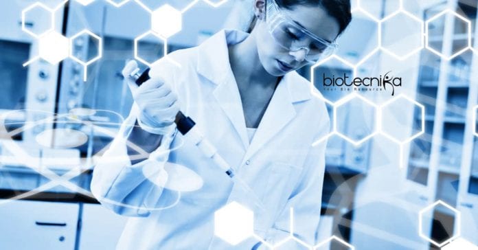 Novartis Jobs Latest