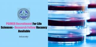 PGIMER Recruitment For