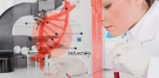 PI Industries R&D Job