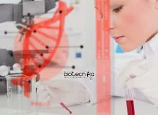 PI Industries R&D Job