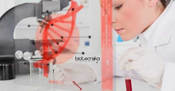 PI Industries R&D Job