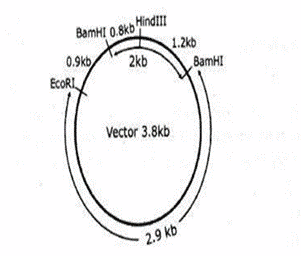 CSIR Exam Difficult Questions
