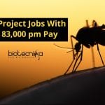 RCB Project Jobs With Rs. 83,000 pm Pay