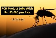 RCB Project Jobs With Rs. 83,000 pm Pay – Biotech / Life Sciences Apply RCB Project Jobs With Rs. 83,000 pm Pay