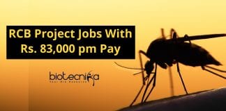 RCB Project Jobs With Rs. 83,000 pm Pay