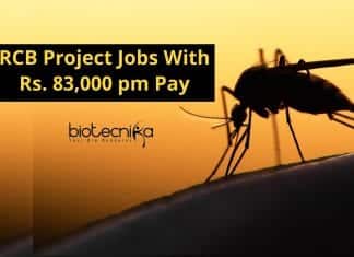 RCB Project Jobs With Rs. 83,000 pm Pay