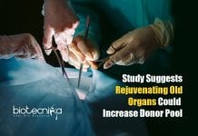 Rejuvenating Old Organs Could Increase Donor Pool Rejuvenating Old Organs