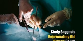 Rejuvenating Old Organs