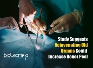 Rejuvenating Old Organs
