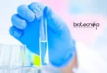 SNU Biochem & Biotech Junior Research Fellow Job Opening SNU Biochem