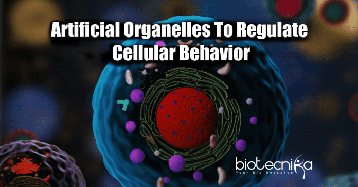 Scientists Develop Artificial Organelles
