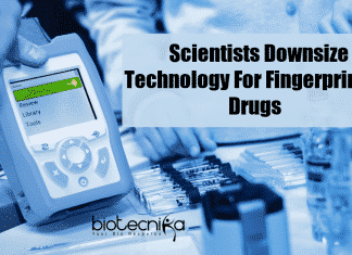 Scientists downsize device 