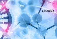 Syngene Associate Protein Purification Job – Life Sciences Apply Syngene Associate Jobs