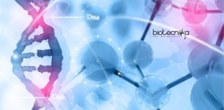 Syngene Associate Jobs