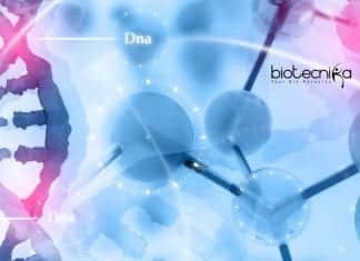 Syngene Associate Protein Purification Job – Life Sciences Apply Syngene Associate Jobs