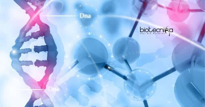 Syngene Associate Jobs