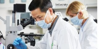 Syngene Cell Culture Job