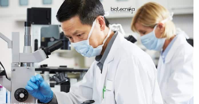 Syngene Cell Culture Job