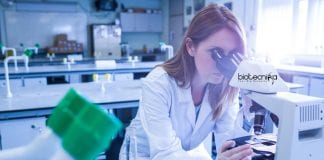 Syngene Quality Assurance Executive