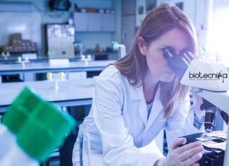Syngene Quality Assurance Executive