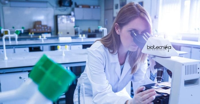 Syngene Quality Assurance Executive