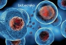 Thermo Fisher Biotech Application Scientist – Cell Culture & Cell Therapy Thermo Fisher Biotech