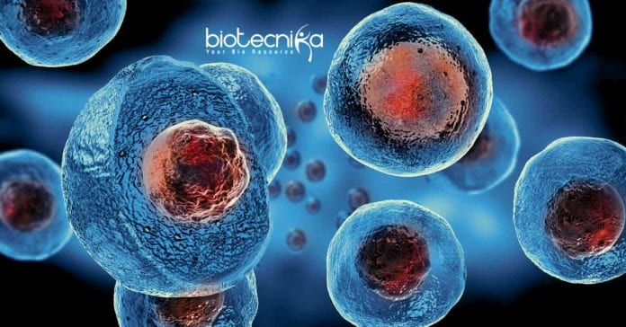 Thermo Fisher Biotech