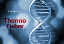 Thermo Fisher Molecular Biology Technical Application Scientist Vacancy Thermo Fisher Molecular Biology