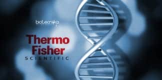 Thermo Fisher Molecular Biology