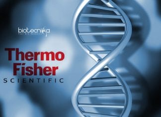Thermo Fisher Molecular Biology
