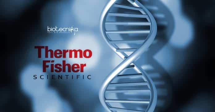 Thermo Fisher Molecular Biology