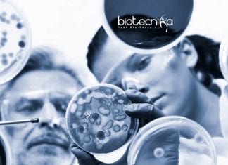 Thermo Fisher Molecular Biology Application Scientist Job Opening Thermo Fisher Molecular Biology