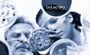 Thermo Fisher Molecular Biology Application Scientist Job Opening Thermo Fisher Molecular Biology