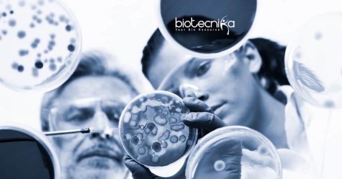 Thermo Fisher Molecular Biology
