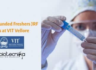 VIT Vellore JRF Job