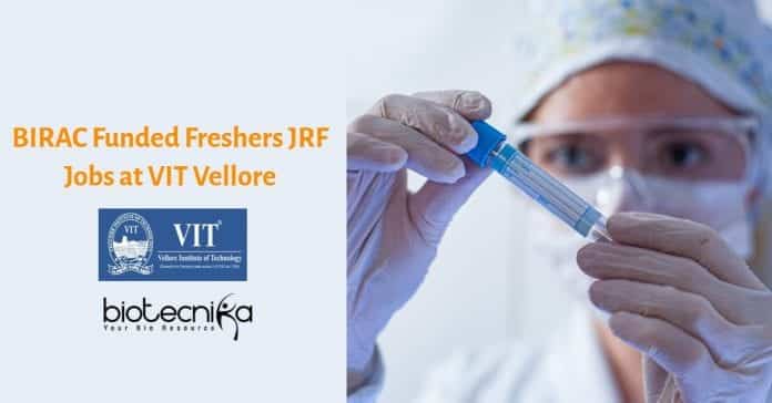 VIT Vellore JRF Job
